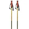 Völkl Phantastick 16Mm - Bâtons de ski alpin vert 135cm