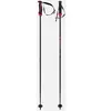 Volkl Bâtons Phantastick