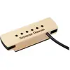 Blackstar SA-3XL - Woody - Hum-canceling Plots Erable Micros guitares acoustiques