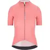 Q36.5 Maillot à Manches Courtes Dottore Pro L
