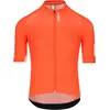 Q36.5 Maillot à Manches Courtes Gregarius Pro Signature 3XL