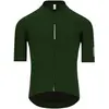 Q36.5 Maillot à Manches Courtes Dottore Pro