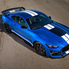 Pilotage Ford Mustang Shelby GT500 - Circuit du Luc