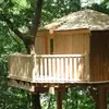 Nuit en Cabane dans les Arbres près de Lyon