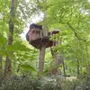 Cabane dans les Arbres à Les Garennes-sur-Loire