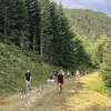 Randonnée en Cani-Rando au Val d'Azun