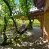 Cabane dans les Arbres avec Spa privatif près de Laval