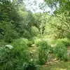 Cabane dans les Arbres avec Spa à Nivillac