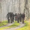 Week-end stage de survie près de Rennes