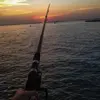 Pêche au Gros à Marseillan