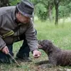 Balade en 2CV et Découverte du Terroir en Bourgogne