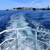 Balade en Bateau à Saint-Malo