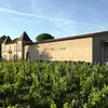 Initiation à l' nologie au Château Pas de L'Âne à Saint-Émilion