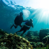 Brevet de Plongée Open Water à Nice
