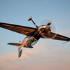 Voltige et Mission de Combat en Avion à La Roche-sur-Yon