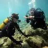 Brevet de Plongée au Cap Cerbère près de Banyuls-sur-Mer