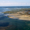 Randonnée Jet Ski vers l'Île aux Oiseaux - Bassin d'Arcachon
