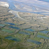 Vol d'Initiation en Planeur près du Tréport - La Baie de Somme