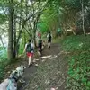 Balade en Cani-Rando près de Bagnères-de-Luchon