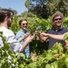 Journée  notouristique à Saint Emilion