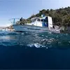 Randonnée Palmée à Sainte-Maxime