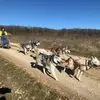 Randonnée en Cani-kart près de Troyes