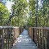 Cabane de Luxe dans les arbres à Porto-Vecchio