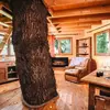 Cabane dans les Arbres avec Spa près de Dinan