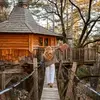 Cabane dans les Arbres avec Spa à Serres