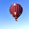 Vol en Montgolfière près de Lyon - Survol du Beaujolais