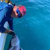 Pêche au gros à Port-Saint-Louis-du-Rhône en Camargue 
