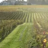 Journée Détente et Soins près de Bordeaux