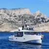 Sortie en Mer à la rencontre des Dauphins et Baleines à Bandol
