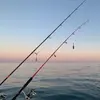 Pêche Sportive près d'Agde