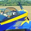 Baptême en Avion de Voltige à Melun