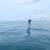 Initiation au Surf Electrique à Foil à Palavas les Flots