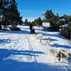 Randonnée en Chiens de Traîneau - Cambre-d'Aze près de Font-Romeu