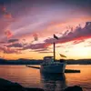 Balade en Bateau au Coucher du Soleil à Palavas-les-Flots