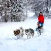 Randonnée en Chiens de Traîneau à Mont-Saxonnex