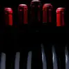 Initiation à l' nologie à Toulouse Compans
