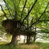 Cabane Familiale dans les Arbres avec Spa près de Carnac