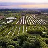 Vol en Montgolfière près de Lille