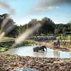 Dormir avec les Éléphants au Zoo de Thoiry