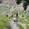 Balade en Cani-rando à Auron