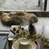 Dormir avec les Jaguars au Zoo de Bordeaux-Pessac