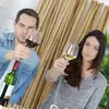 Initiation à l' nologie à Toulouse Matabiau