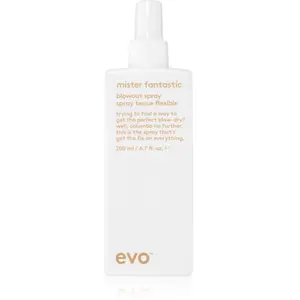 Comparateur de prix : evo mister fantastic blowout spray Spray coiffant 1000 ml