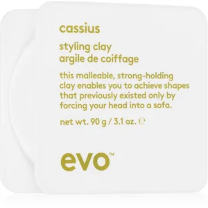 EVO Style Cassius argile coiffante fixation et forme 90 g pas cher