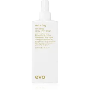 EVO - salty dog Laque cheveux 200 ml unisex pas cher