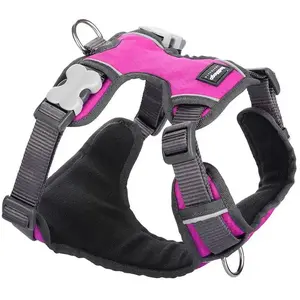 Red Dingo Harnais pour Chien Rembourré Fuchsia Taille XS TU pas cher
